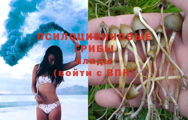 apvp Волоколамск