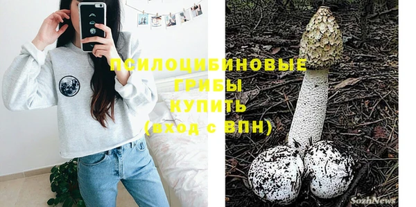apvp Волоколамск