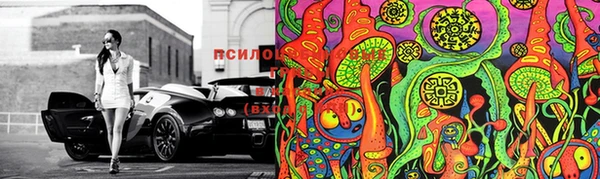 шишки Волосово