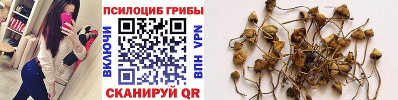 маркетплейс Telegram  Ишим  Псилоцибиновые грибы MAGIC MUSHROOMS  даркнет сайт 